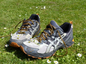 bob wood trainers
